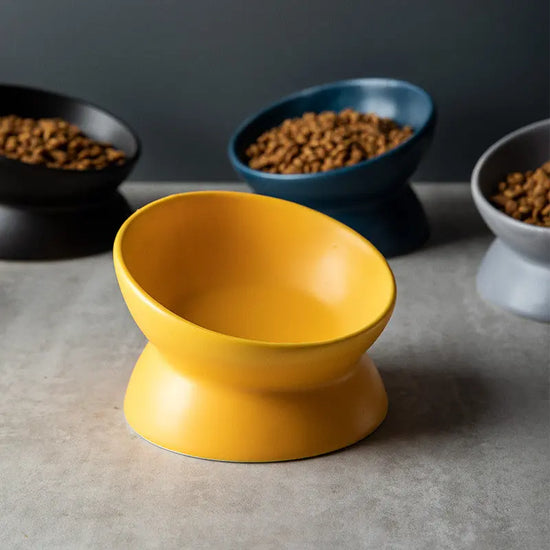Slanted-mouthed high-legged pet food bowl - The Aurora Touch