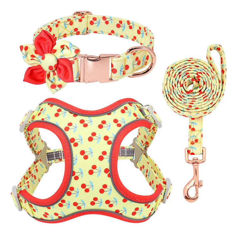 Personalized Floral Dog Harness & Leash Set - Custom Name Small Dog Collar - Adjustable Puppy Walking Gear - Matching Boutique Pet Accessories The Aurora Touch