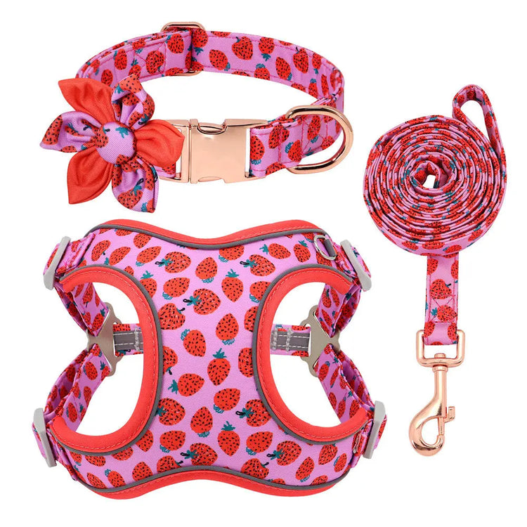 Personalized Floral Dog Harness & Leash Set - Custom Name Small Dog Collar - Adjustable Puppy Walking Gear - Matching Boutique Pet Accessories The Aurora Touch