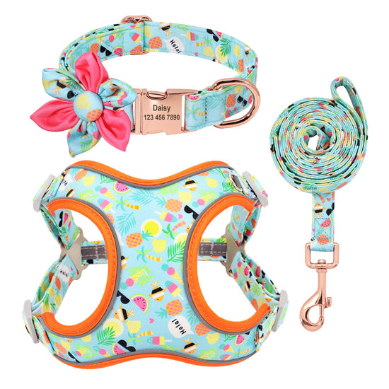 Personalized Floral Dog Harness & Leash Set - Custom Name Small Dog Collar - Adjustable Puppy Walking Gear - Matching Boutique Pet Accessories