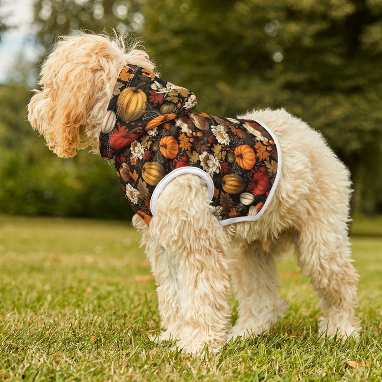 Fall Floral Pet Hoodie, Cozy Dog Sweater, Halloween Costume Alternative, Pumpkin Print Dog Outfit, Autumn Dog Apparel The Aurora Touch