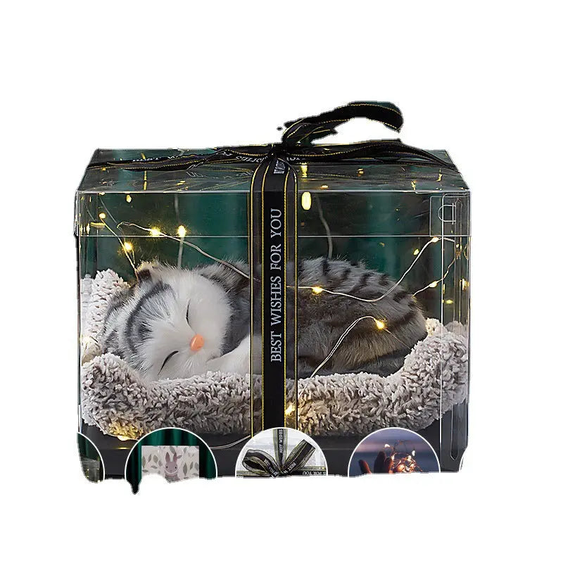 Decorative Activated Carbon Pet Pad with Gift Box - The Aurora Touch