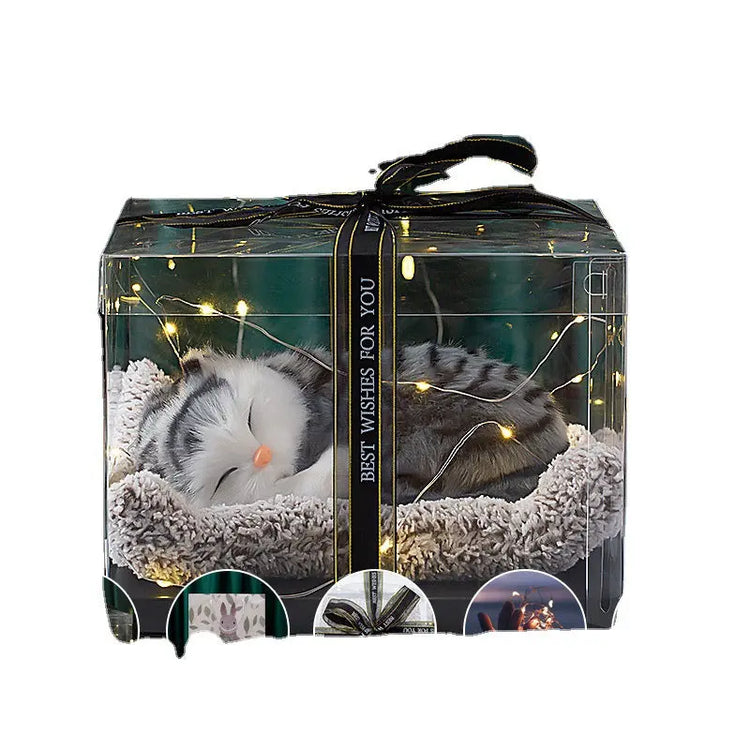 Decorative Activated Carbon Pet Pad with Gift Box - The Aurora Touch