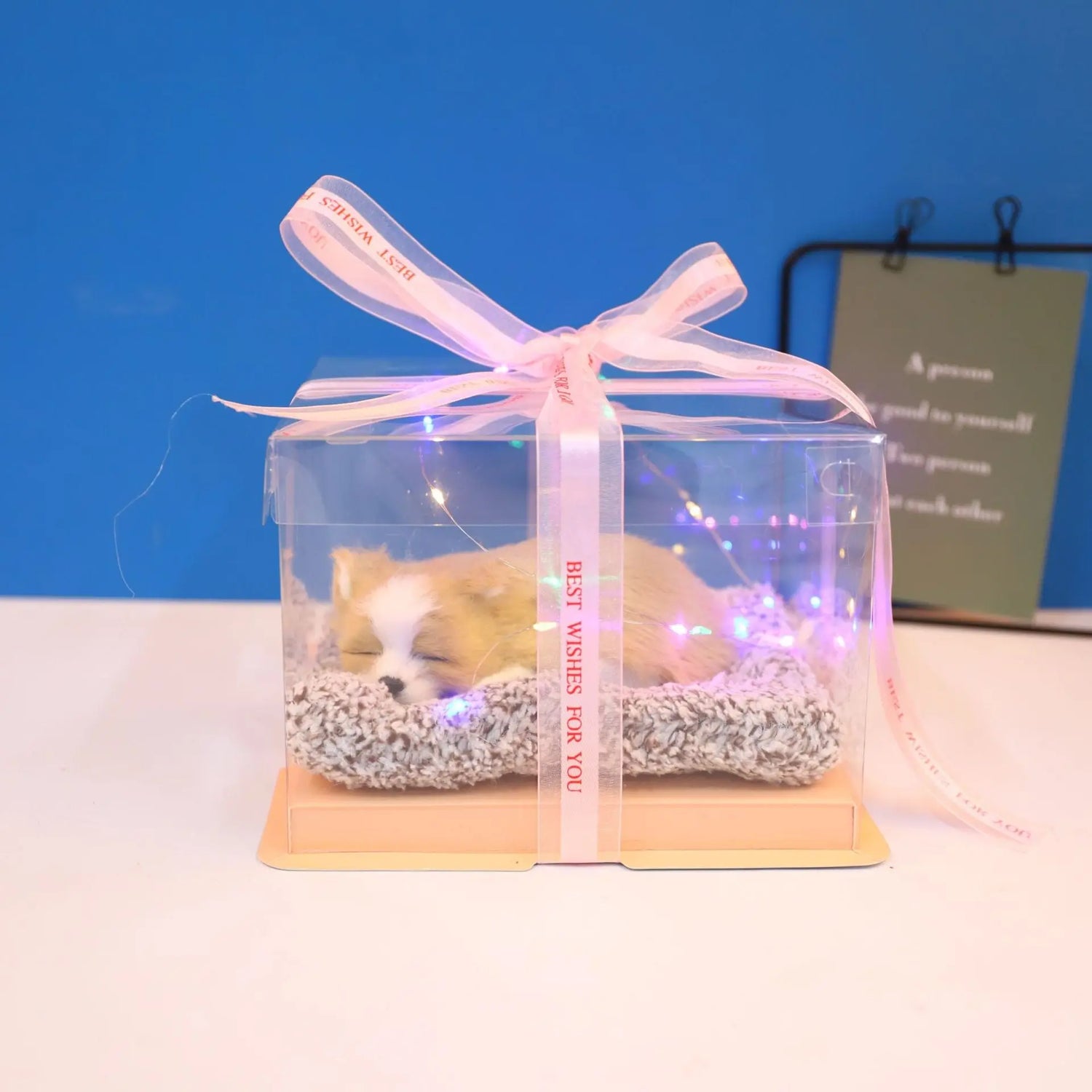 Decorative Activated Carbon Pet Pad with Gift Box - The Aurora Touch