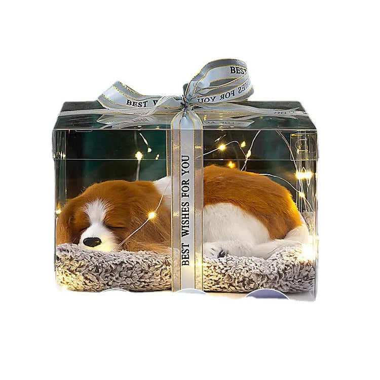 Decorative Activated Carbon Pet Pad with Gift Box - The Aurora Touch