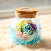 Rose Preserved Soap Flower LED Wishing Bottle - The Aurora Touch