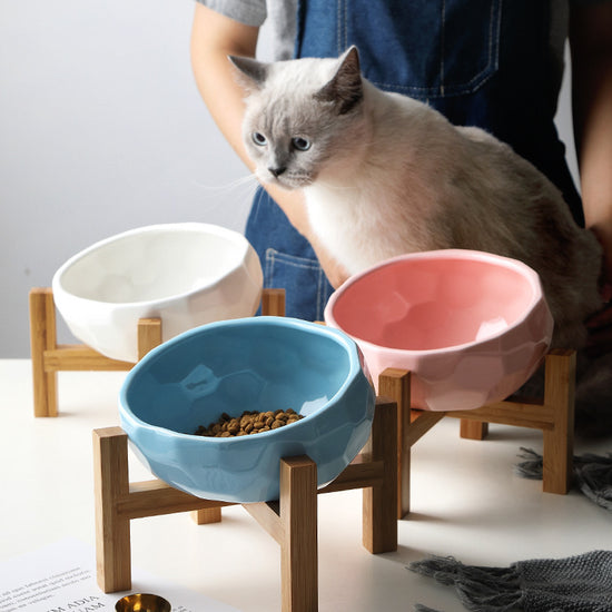 Oblique Pet Designer Bowl | Great for Cat & Dog