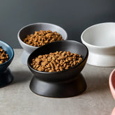 Slanted-mouthed high-legged pet food bowl - The Aurora Touch