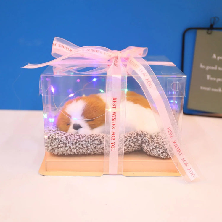 Decorative Activated Carbon Pet Pad with Gift Box - The Aurora Touch