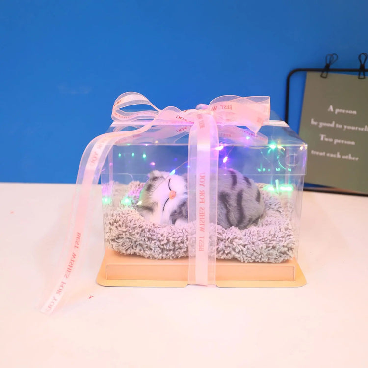 Decorative Activated Carbon Pet Pad with Gift Box - The Aurora Touch