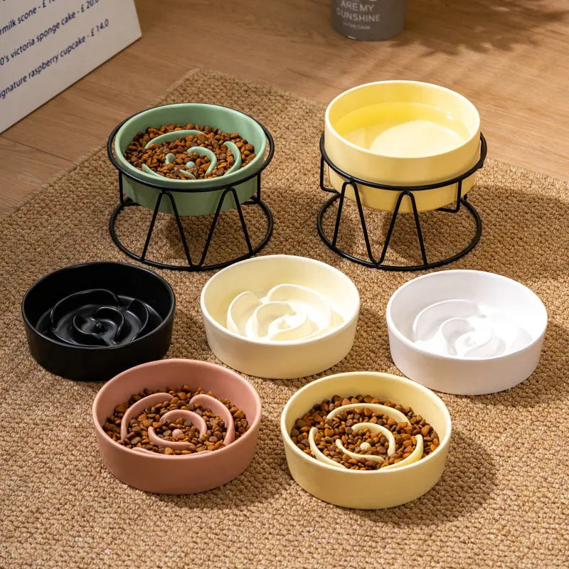 Pet Slow Food Bowl - The Aurora Touch
