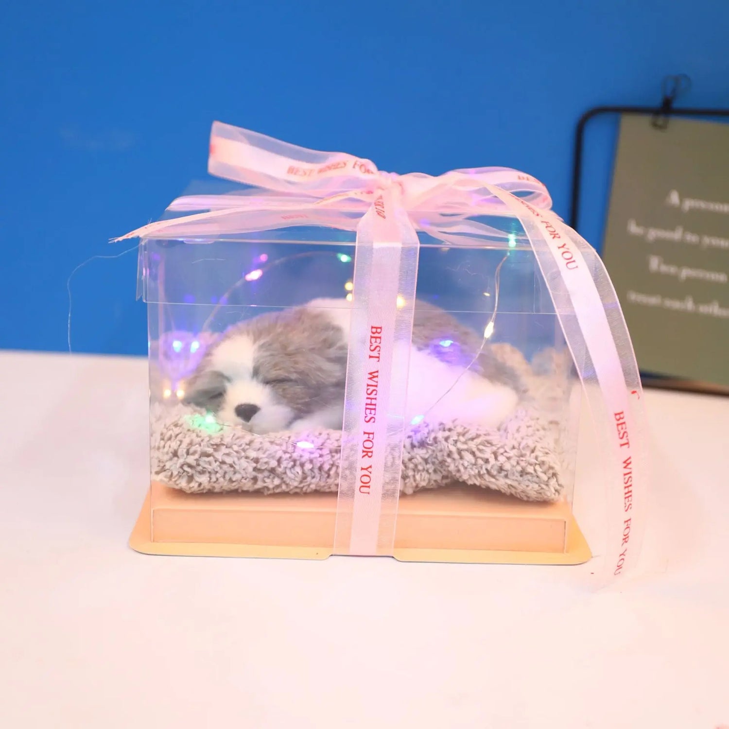 Decorative Activated Carbon Pet Pad with Gift Box - The Aurora Touch