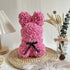 Rose Bear Gift Box Teem Drop