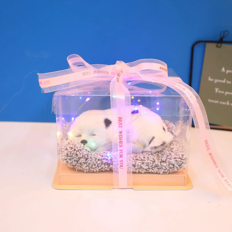 Decorative Activated Carbon Pet Pad with Gift Box - The Aurora Touch