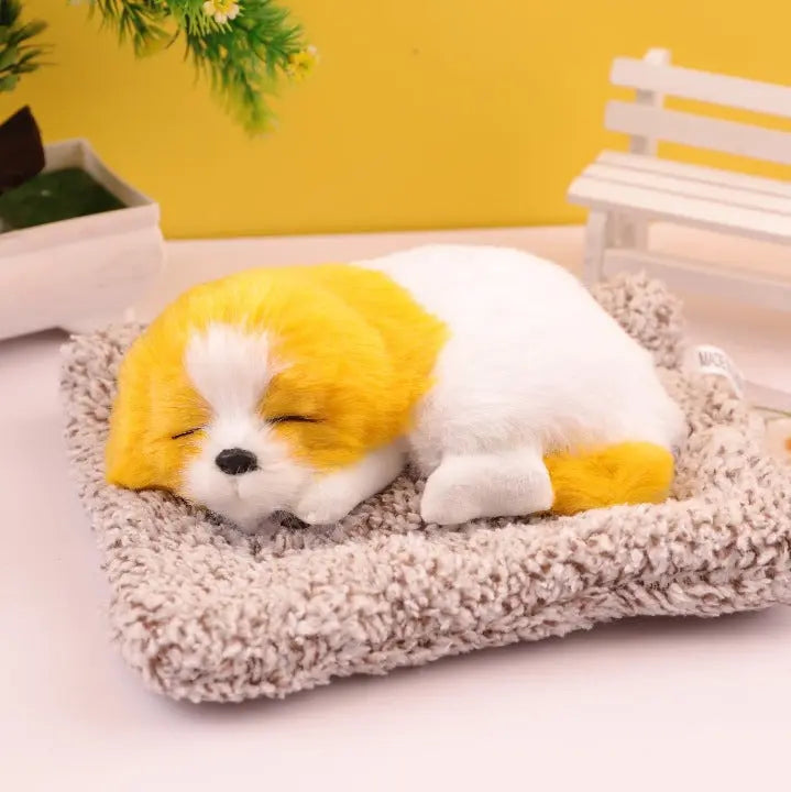 Decorative Activated Carbon Pet Pad with Gift Box - The Aurora Touch