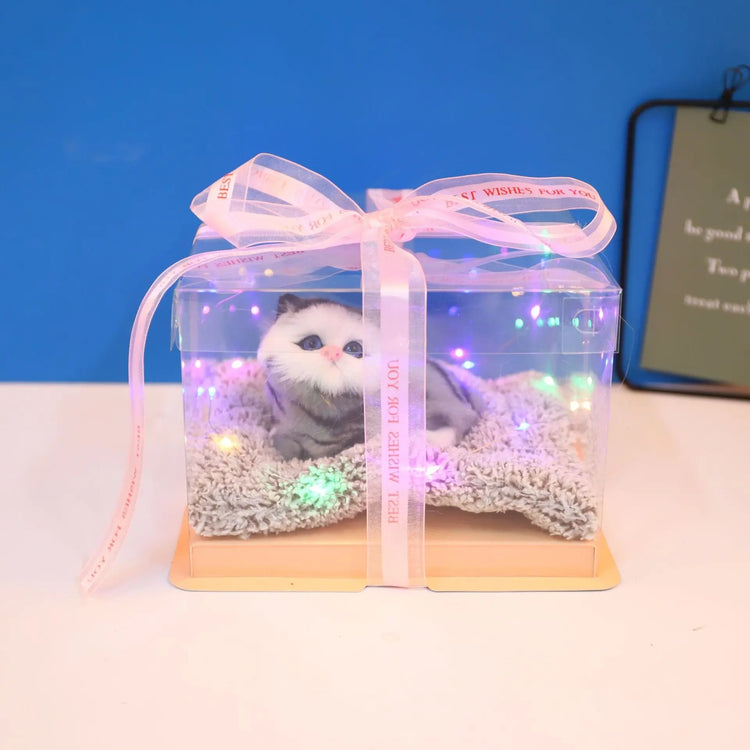 Decorative Activated Carbon Pet Pad with Gift Box - The Aurora Touch