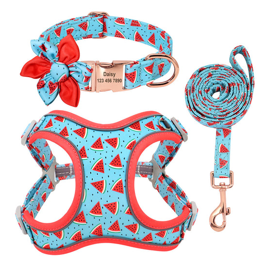 Personalized Floral Dog Harness & Leash Set - Custom Name Small Dog Collar - Adjustable Puppy Walking Gear - Matching Boutique Pet Accessories