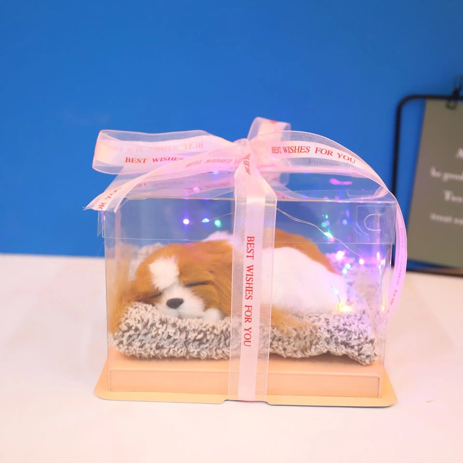 Decorative Activated Carbon Pet Pad with Gift Box - The Aurora Touch