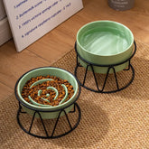 Pet Slow Food Bowl - The Aurora Touch