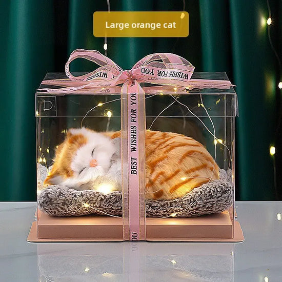 Decorative Activated Carbon Pet Pad with Gift Box - The Aurora Touch