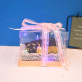 Decorative Activated Carbon Pet Pad with Gift Box - The Aurora Touch