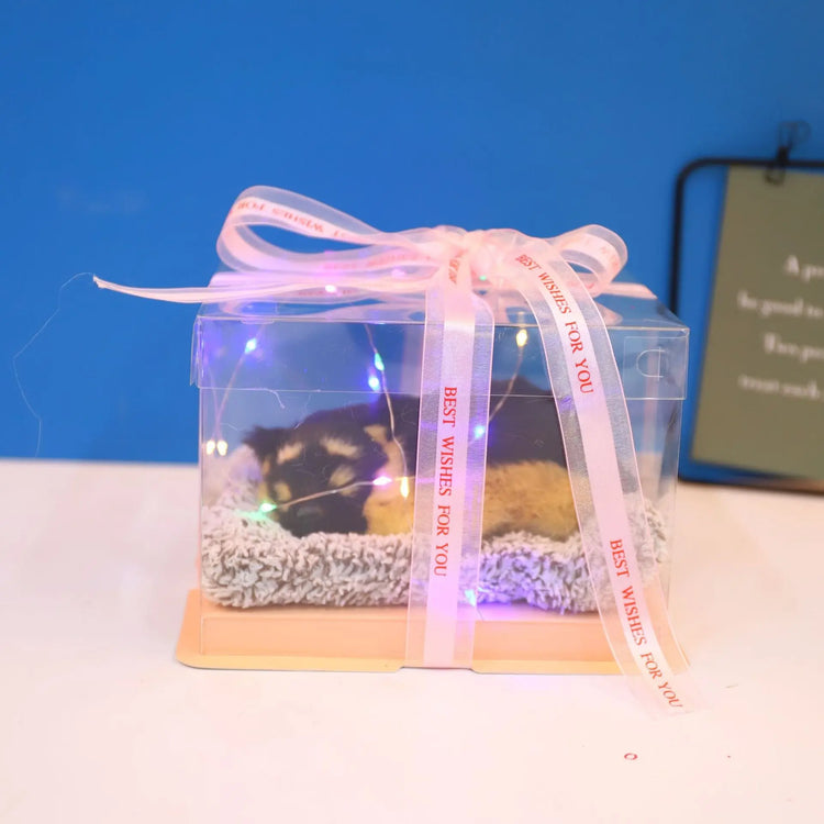 Decorative Activated Carbon Pet Pad with Gift Box - The Aurora Touch