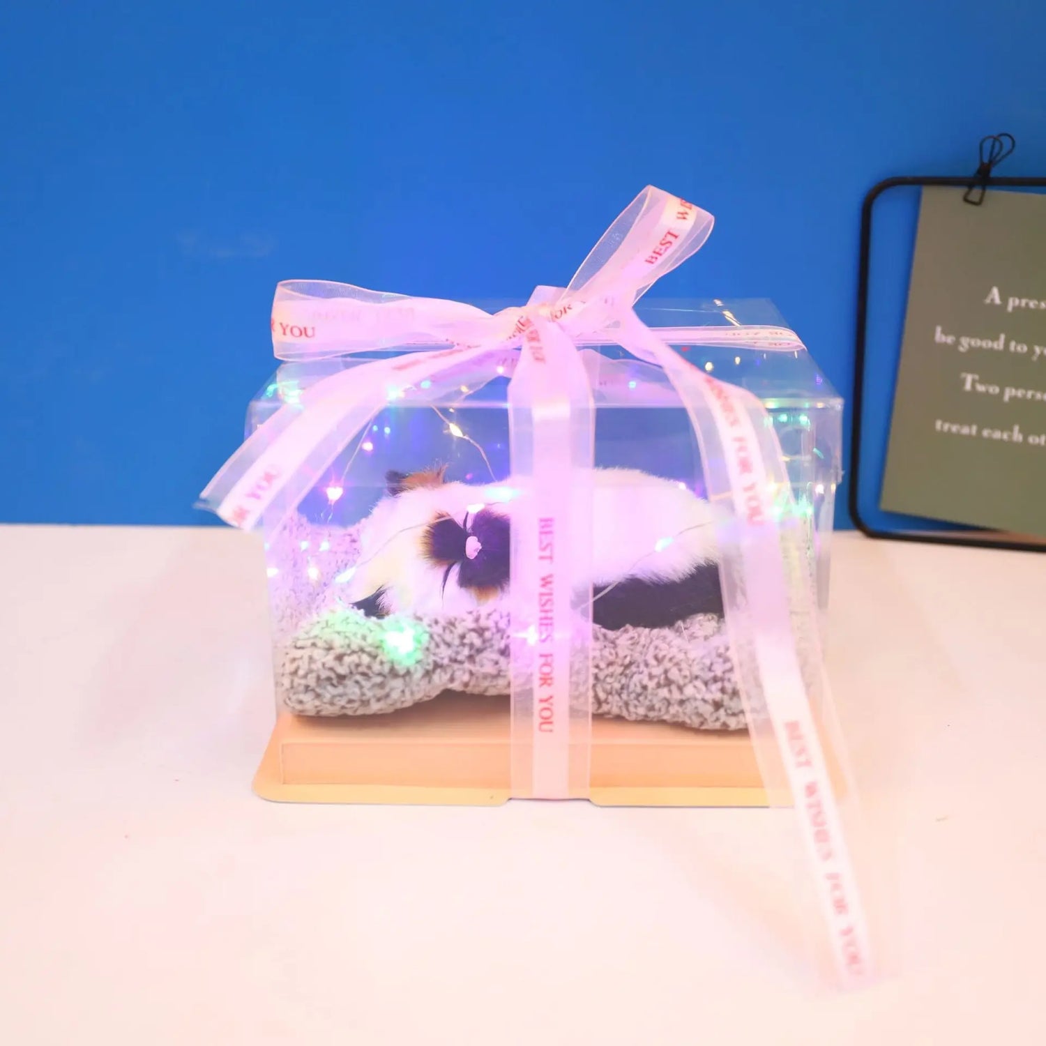 Decorative Activated Carbon Pet Pad with Gift Box - The Aurora Touch