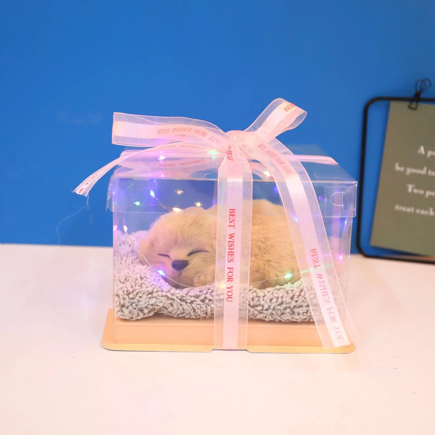 Decorative Activated Carbon Pet Pad with Gift Box - The Aurora Touch