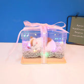 Decorative Activated Carbon Pet Pad with Gift Box - The Aurora Touch