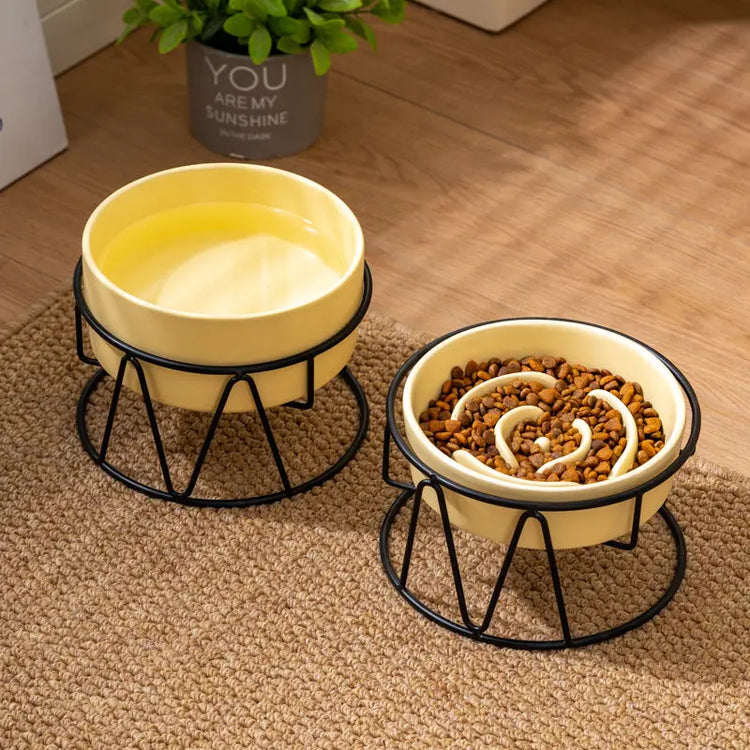 Pet Slow Food Bowl - The Aurora Touch