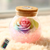 Rose Preserved Soap Flower LED Wishing Bottle - The Aurora Touch