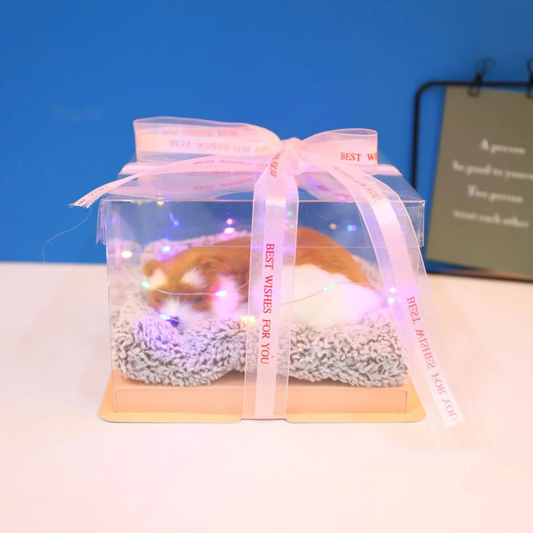 Decorative Activated Carbon Pet Pad with Gift Box - The Aurora Touch