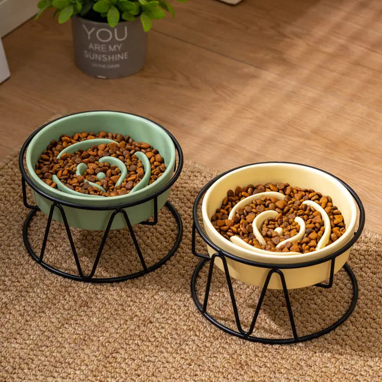 Pet Slow Food Bowl - The Aurora Touch