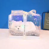 Decorative Activated Carbon Pet Pad with Gift Box - The Aurora Touch