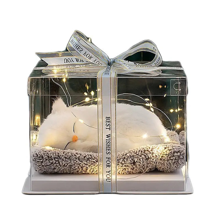 Decorative Activated Carbon Pet Pad with Gift Box - The Aurora Touch