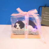 Decorative Activated Carbon Pet Pad with Gift Box - The Aurora Touch