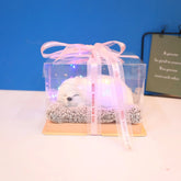 Decorative Activated Carbon Pet Pad with Gift Box - The Aurora Touch