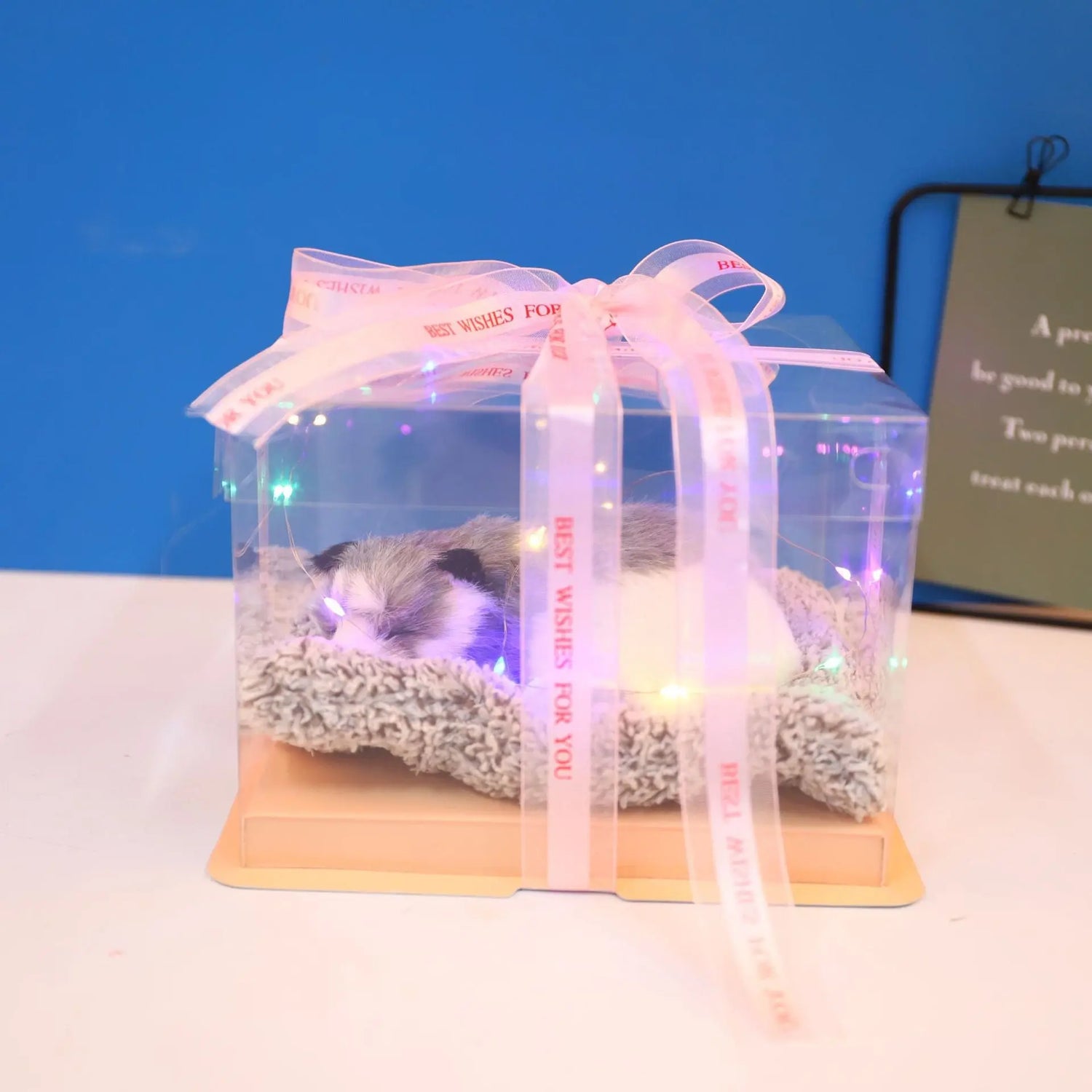 Decorative Activated Carbon Pet Pad with Gift Box - The Aurora Touch