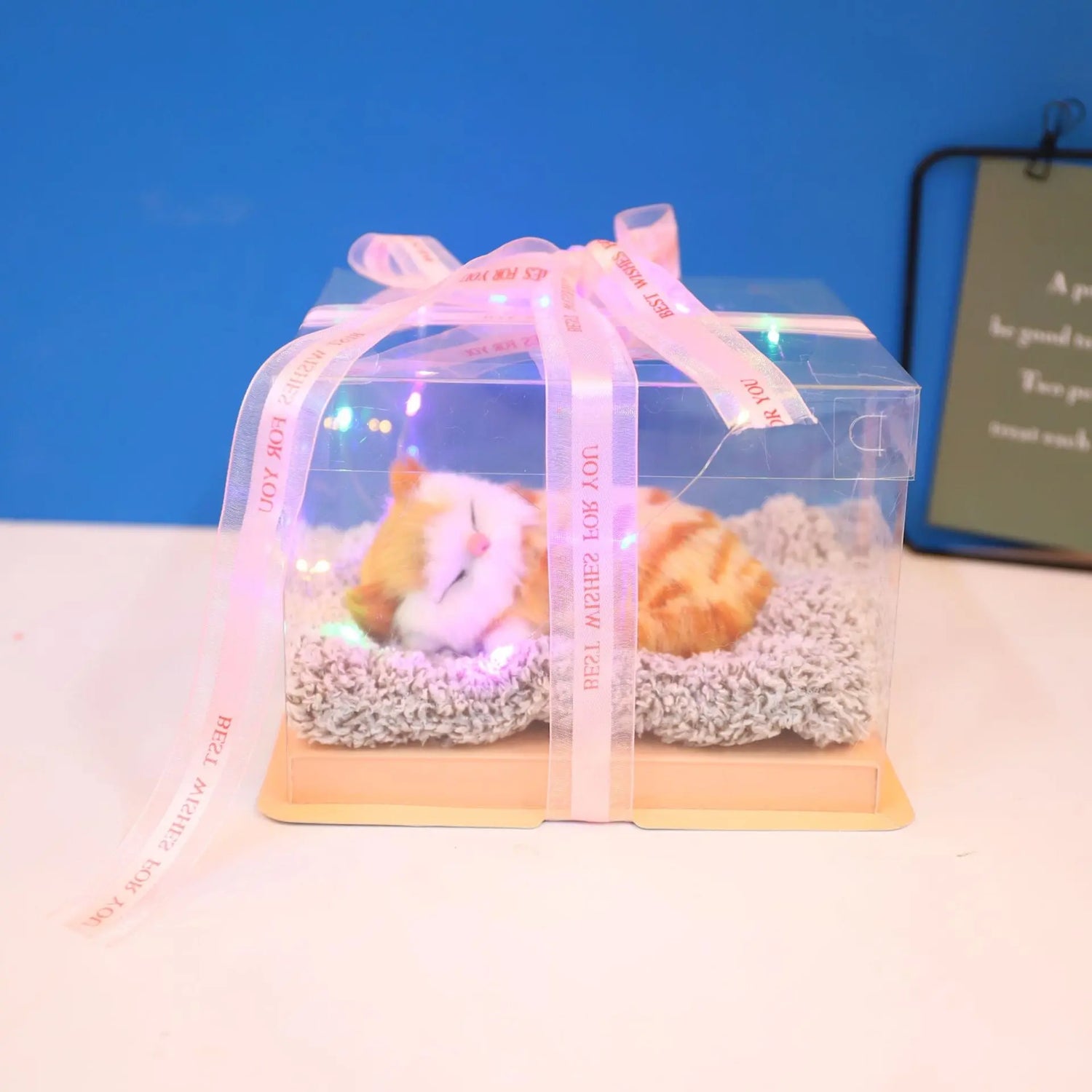 Decorative Activated Carbon Pet Pad with Gift Box - The Aurora Touch