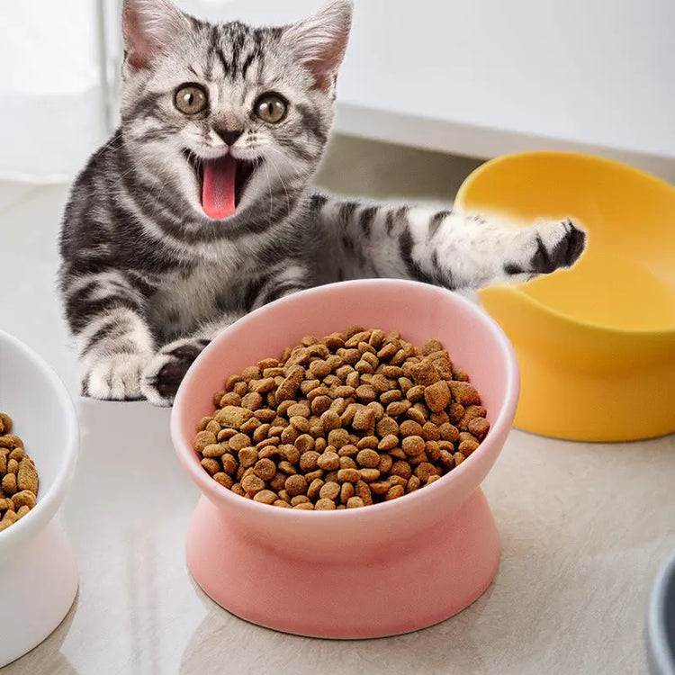 Slanted-mouthed high-legged pet food bowl - The Aurora Touch