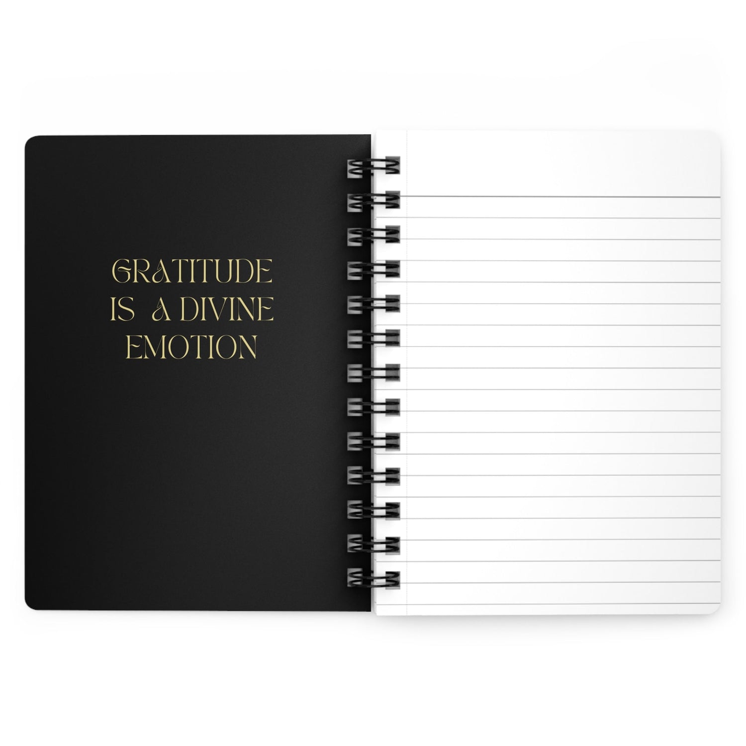 Spiral Bound Journal, Daily Gratitude Journal, Personal writing Diary, Daily Affirmation Journal, Daily Task Notebook, Special Item Gift