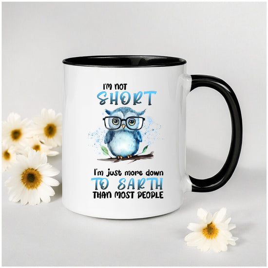 Accent Coffee Mug (11, 15oz), Funny animal mug, Cute Owl Design, cool teacher, silly kitchen decor, happy uplifting morning beverage mug