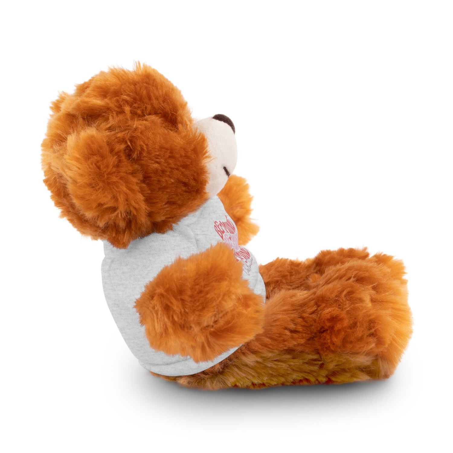 Customizable Stuffed Animals, Perfect Gift for Valentine&