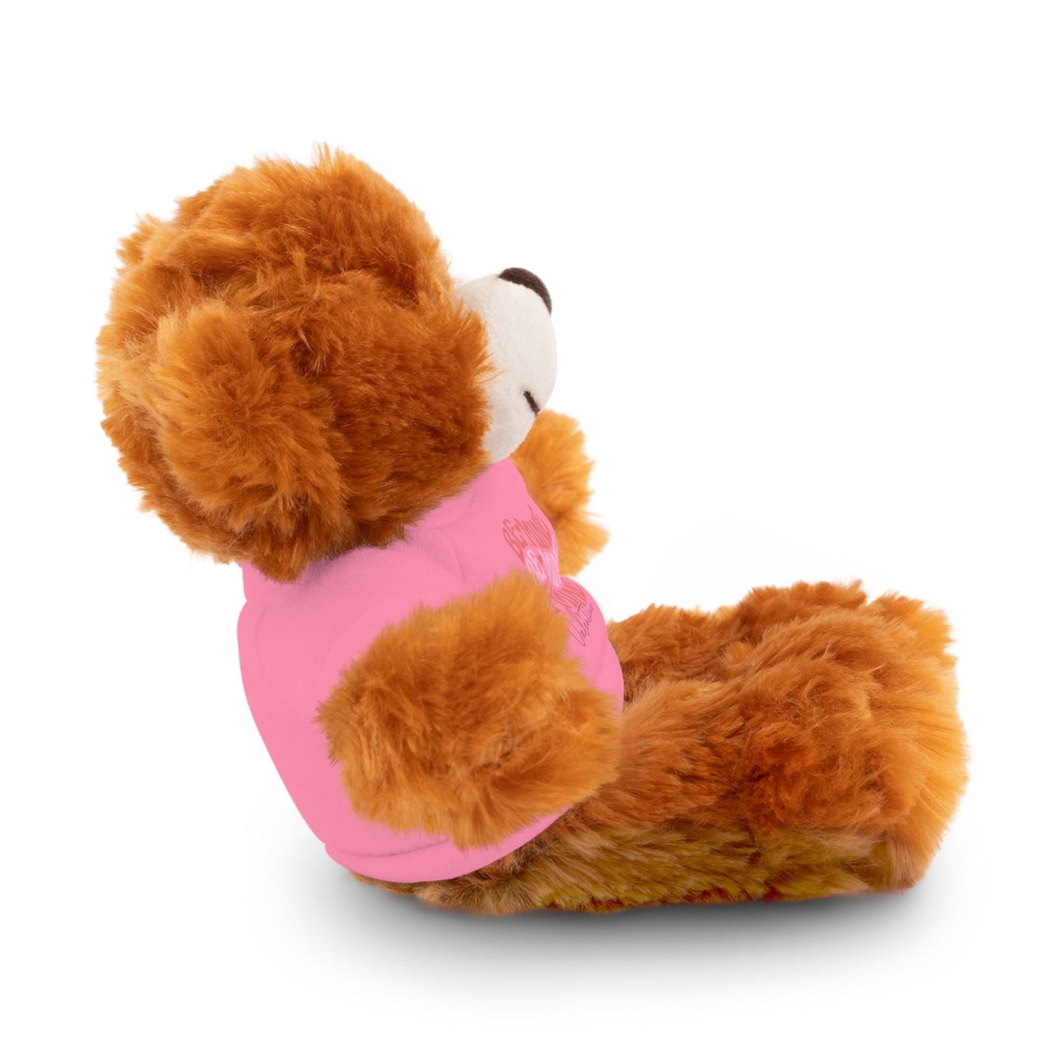 Customizable Stuffed Animals, Perfect Gift for Valentine&