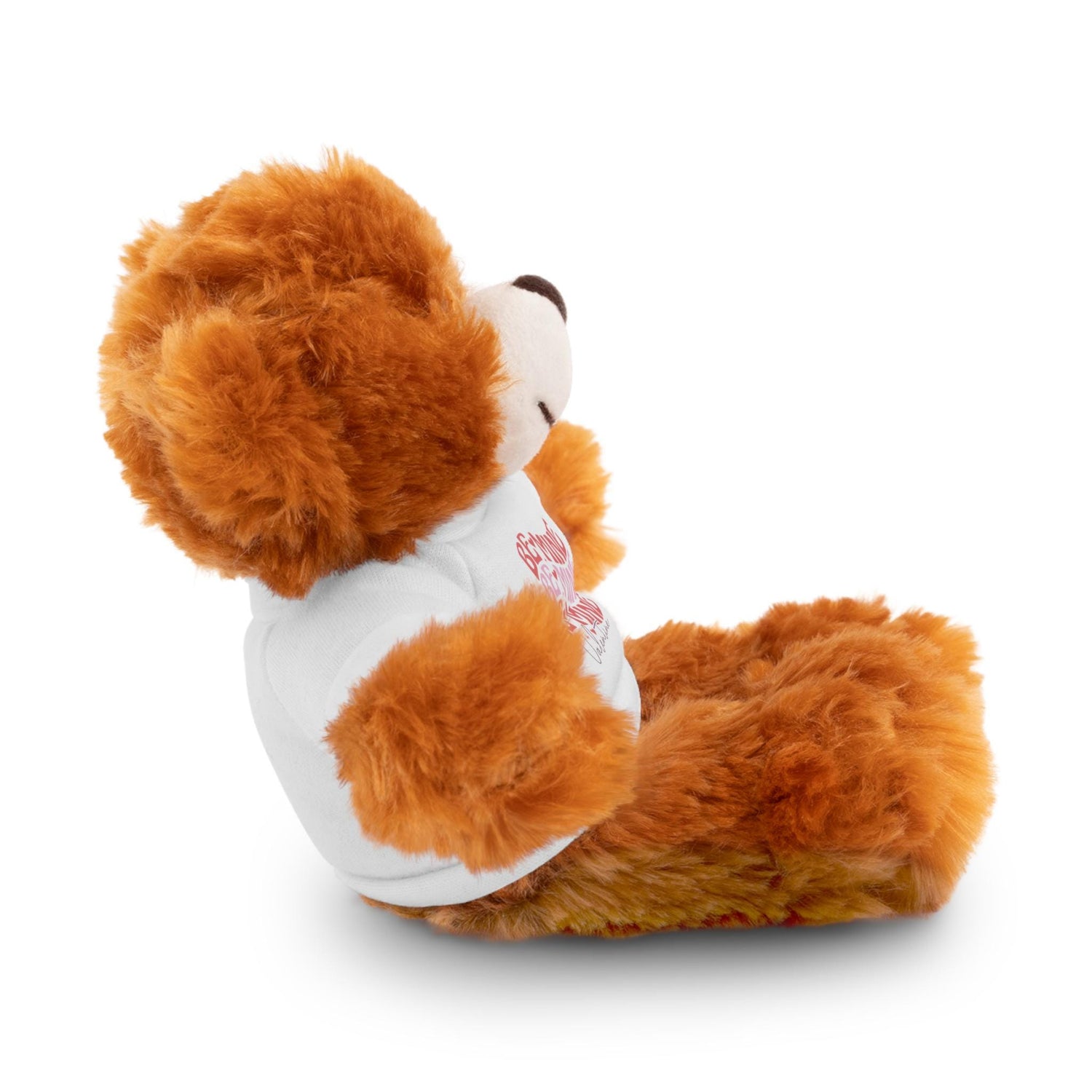 Customizable Stuffed Animals, Perfect Gift for Valentine&