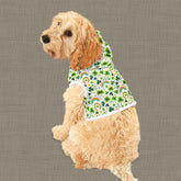 Rainbow Shamrock Pet Hoodie for Dogs, Lucky Dog Apparel, St. Patrick&