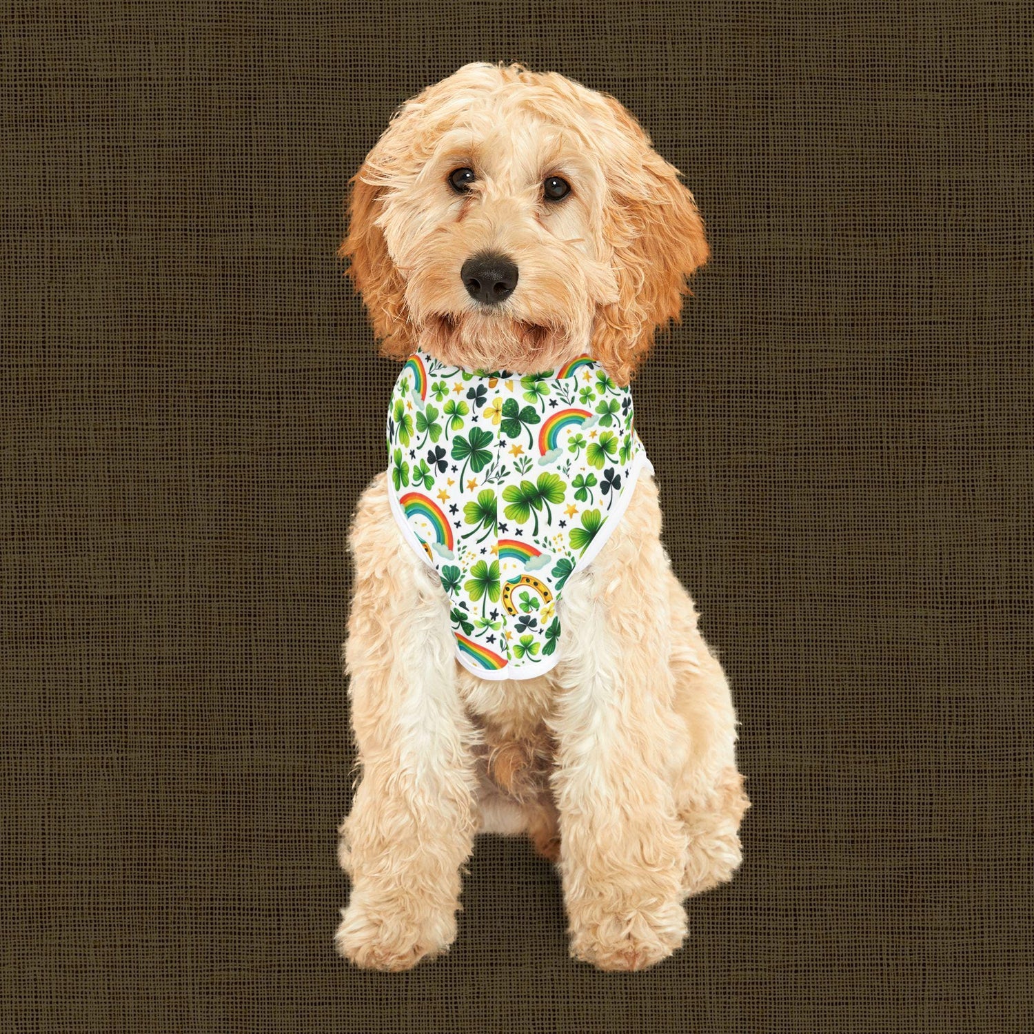 Rainbow Shamrock Pet Hoodie for Dogs, Lucky Dog Apparel, St. Patrick&
