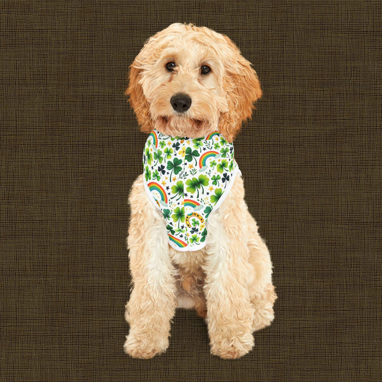 Rainbow Shamrock Pet Hoodie for Dogs, Lucky Dog Apparel, St. Patrick&