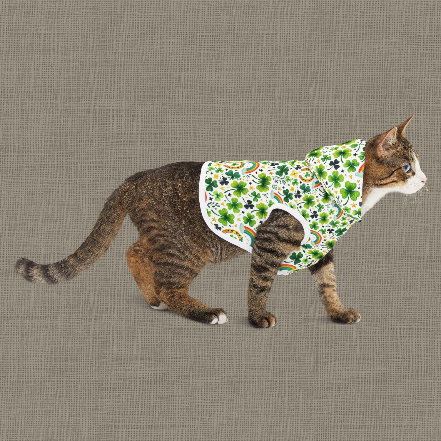 Rainbow Shamrock Pet Hoodie for Dogs, Lucky Dog Apparel, St. Patrick&