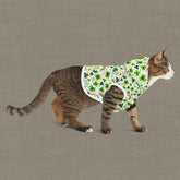 Rainbow Shamrock Pet Hoodie for Dogs, Lucky Dog Apparel, St. Patrick&